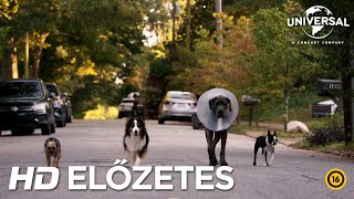 Kivert kutyák - magyar nyelvű előzetes kép